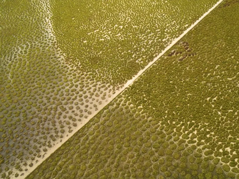 Verano en el humedal de Lorica, Córdoba.