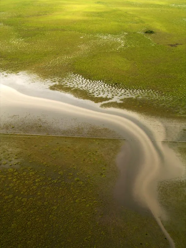 Ciénaga Grande de Lorica, Córdoba.