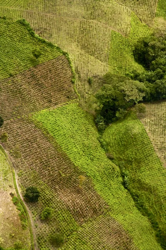 Calarcá, Quindío.