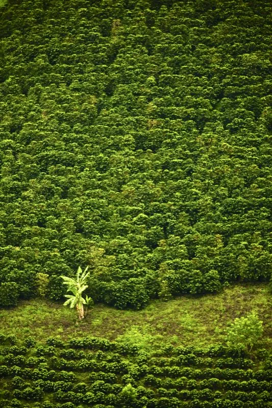San Agustín, Huila.
