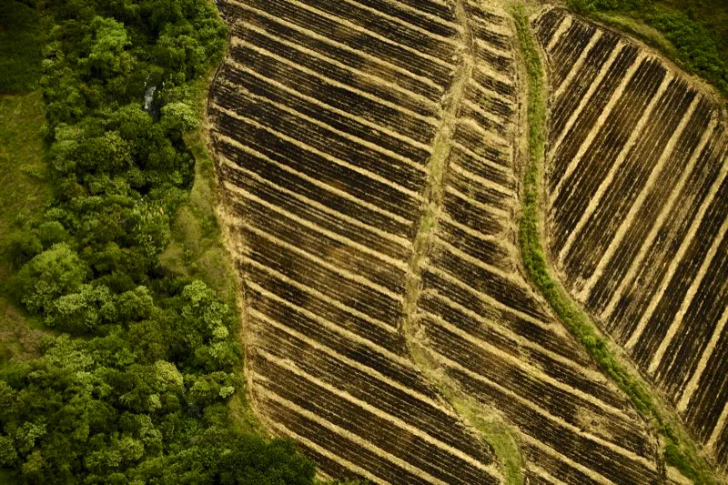 Palmira, Valle.