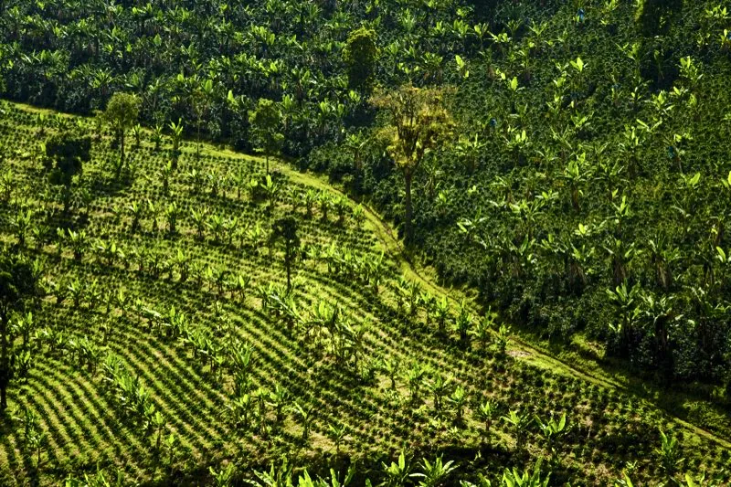 Andes, Antioquia.