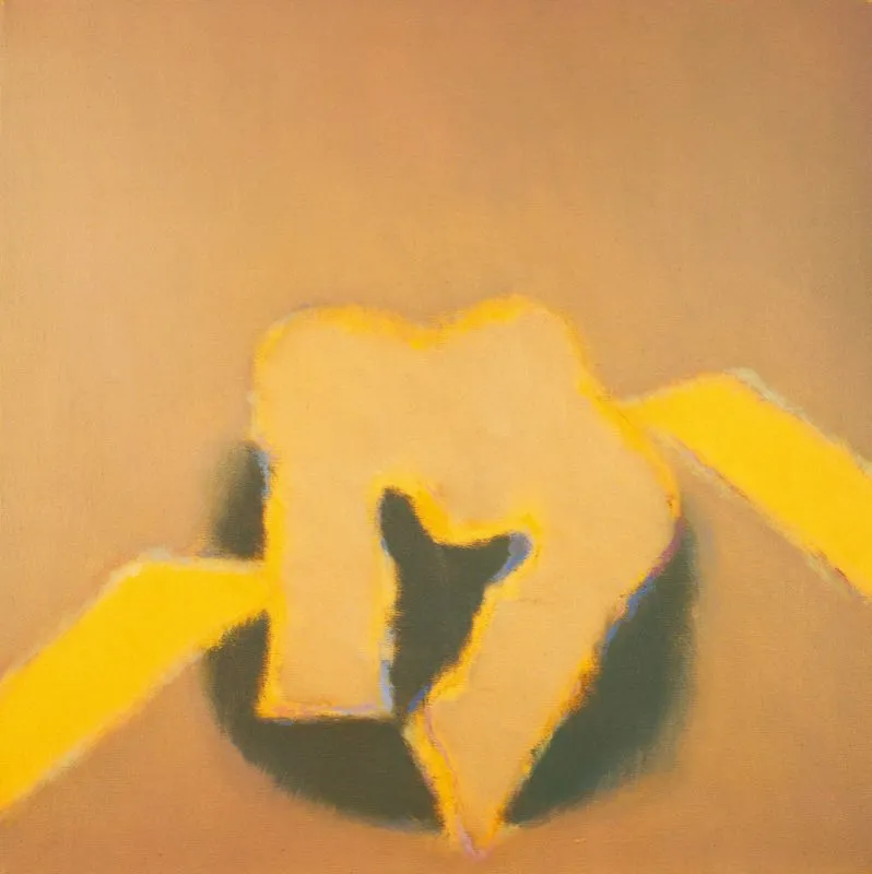 Signo amarillo / 1976 / Acrlico sobre tela / 60 x 60 cm (detalle) 