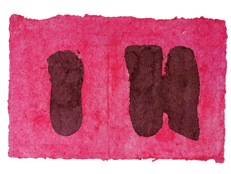 Signo rosado I / 1999 / Papel hecho a mano / 67 x 104 cm 