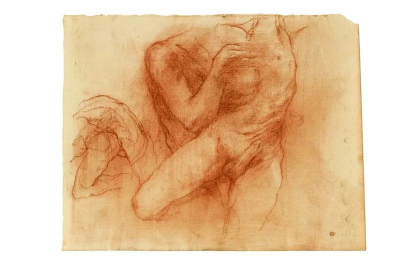 Sanguina sobre papel / 22 cm x 28 cm 