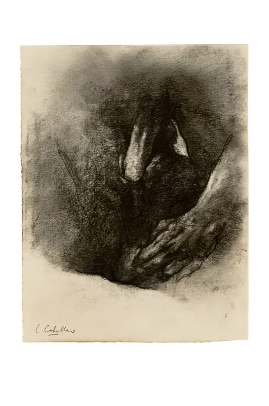Carboncillo sobre papel / 31,5 cm x 24 cm 