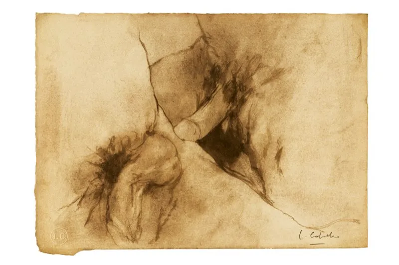 leo y aguada de leo sobre papel / 26,5 cm x 37,5 cm 