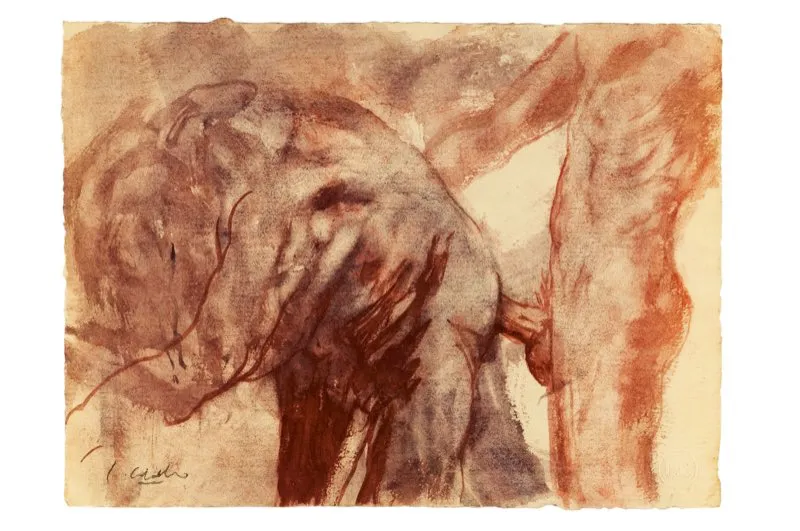 Sanguina y aguada de leo sobre papel / 24,5 cm x 33 cm 