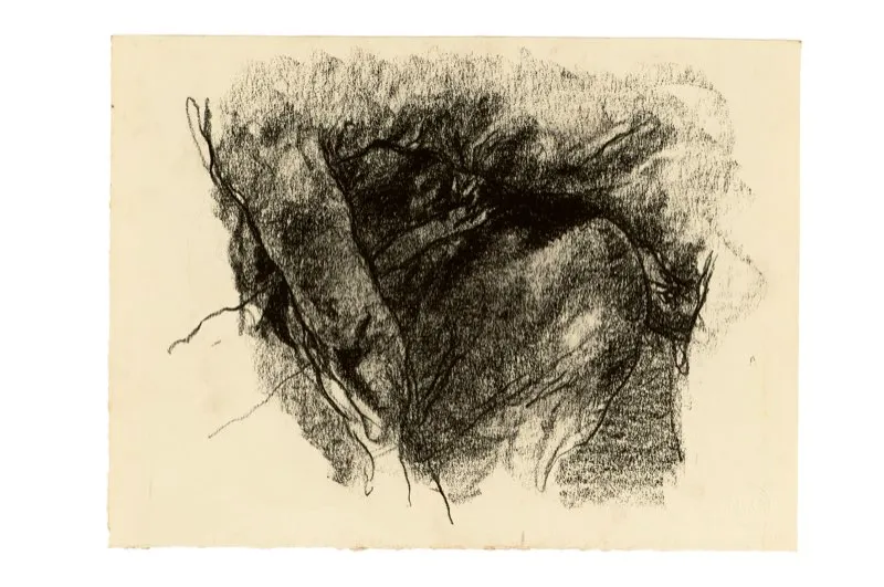 Carboncillo sobre papel / 32 cm x 35 cm 