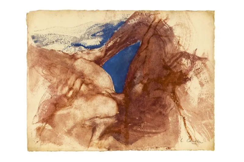 leo, sanguina y aguada de leo sobre papel / 29,5 cm x 39,5 cm 