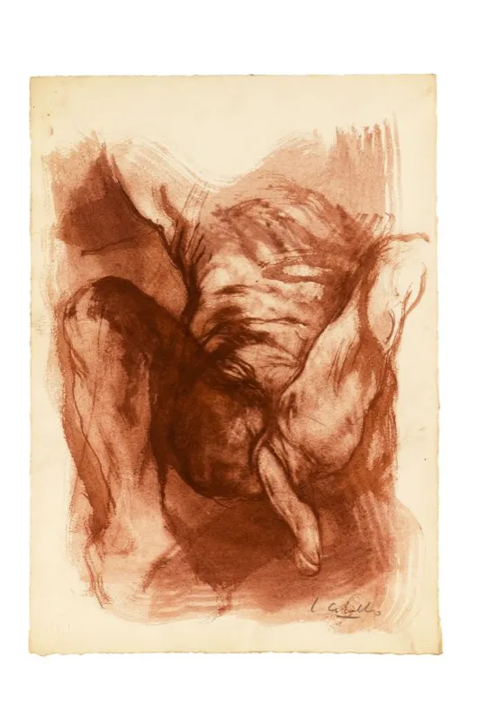 leo y aguada de leo sobre papel / 37,5 cm x 26,5 cm 