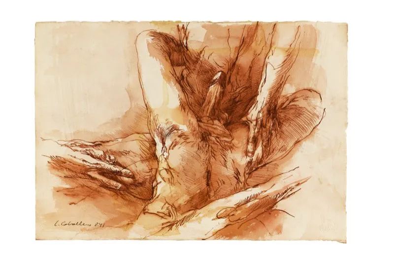 Tinta y aguada de tinta sobre papel / 26,5 cm x 38 cm 