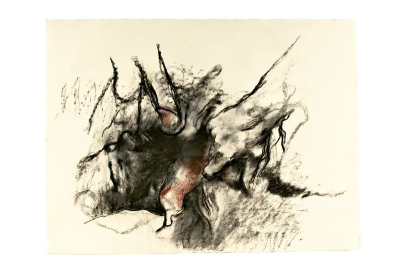 Carboncillo y pastel sobre papel / 57 cm x 77 cm 