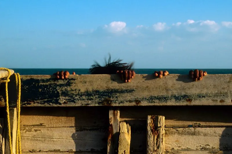 Cabo de la Vela. Santiago Harker