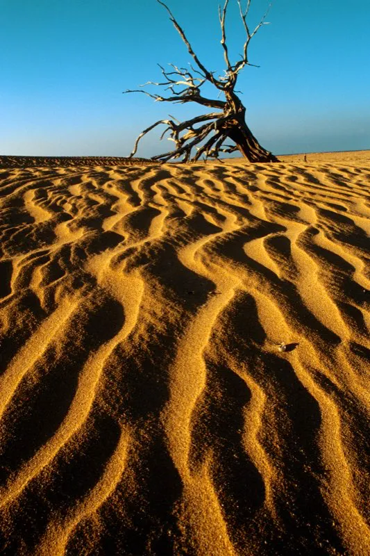 Puerto Estrella. Santiago Harker