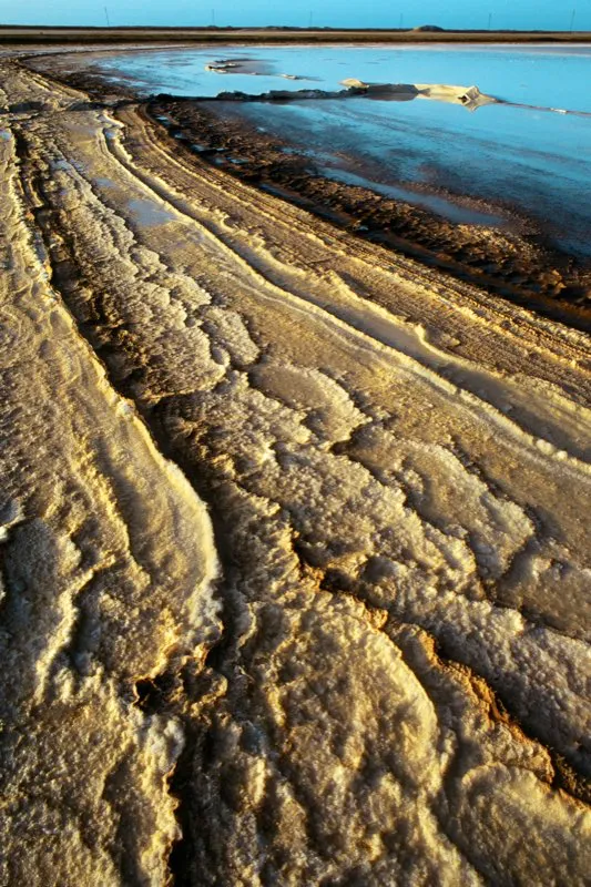 Manaure. Santiago Harker