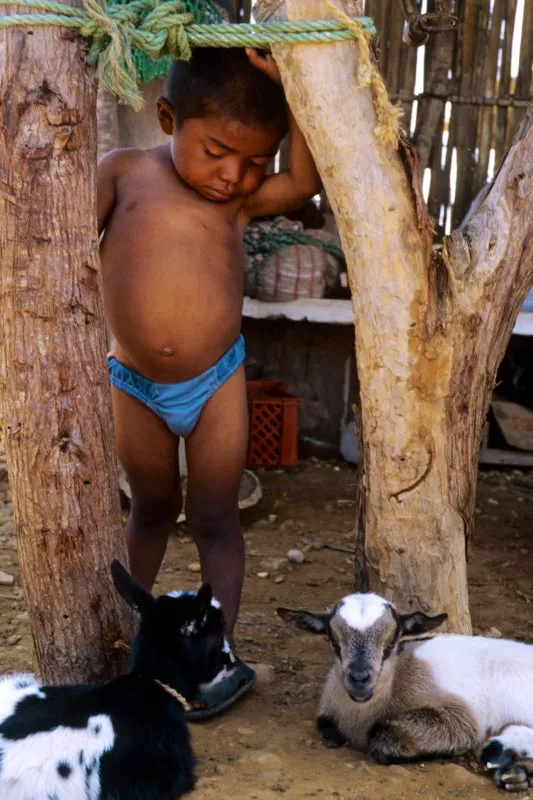 Chimare. Santiago Harker
