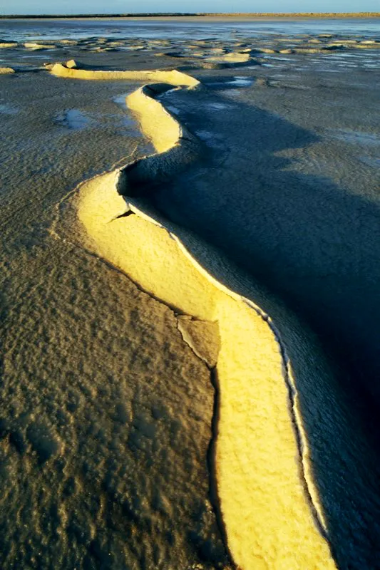 Manaure. Santiago Harker