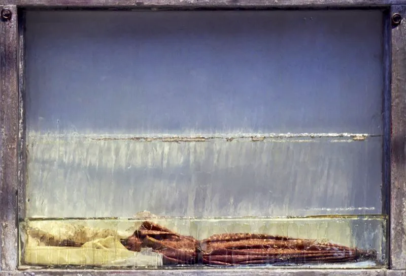 De la serie Ciudad, ciudad / 1998 / Ensamble: objetos, paraguas y vidrio en marco de madera / 60 x 80 x 11 cm 