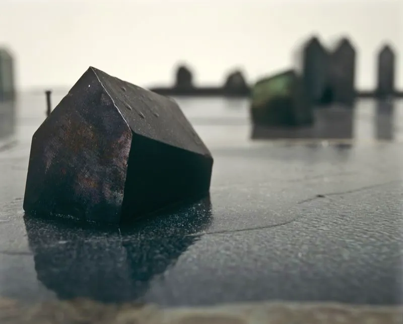 Lluvia / 2002 / (detalle) / Dimensiones variables.