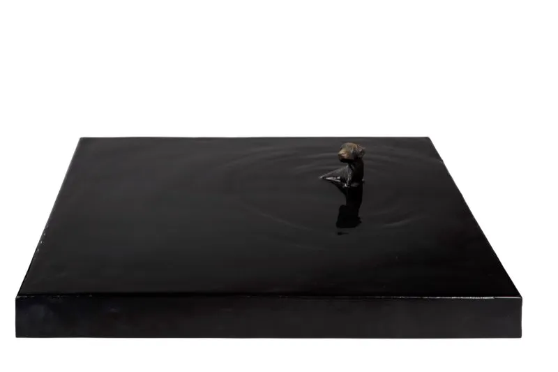 De la serie Bajo la luna / 2010 / Ensamble: objetos y resinas sobre placas metálicas / 12 x 50 x 50 cm