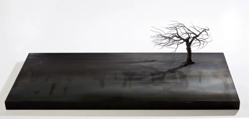 De la serie Bajo la luna / 2010 / Ensamble: objeto, hierro y resinas en marco metálico / 30 x 90 x 60 cm