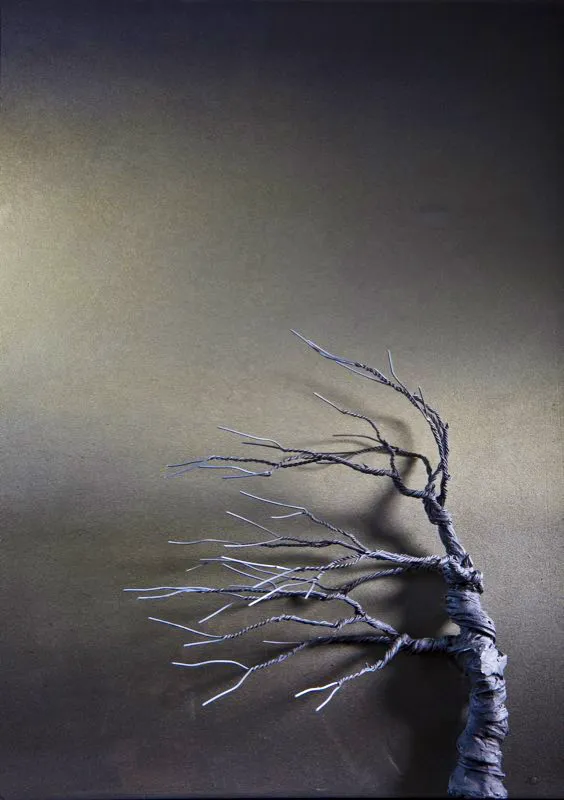 De la serie Bajo la luna / 2010 / (detalle)