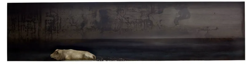 De la serie de Vidrio y niebla / 2009 / Ensamble: objeto y resinas en placa metálica / 60 x 200 x 24 cm