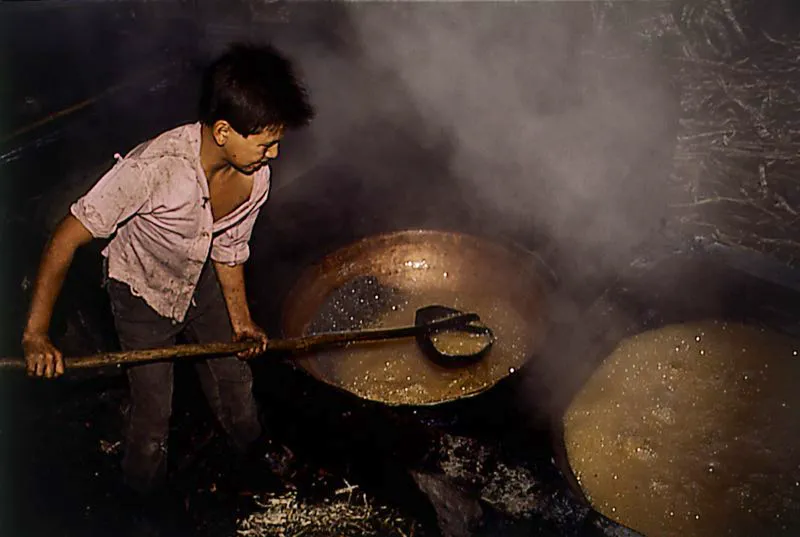 Pailas en cobre de diferente aleación, en grandes dimensiones, utilizadas en los trapiches de caña de azúcar para el proceso de preparación de la panela. Rosas, Cauca. José Fernando Machado