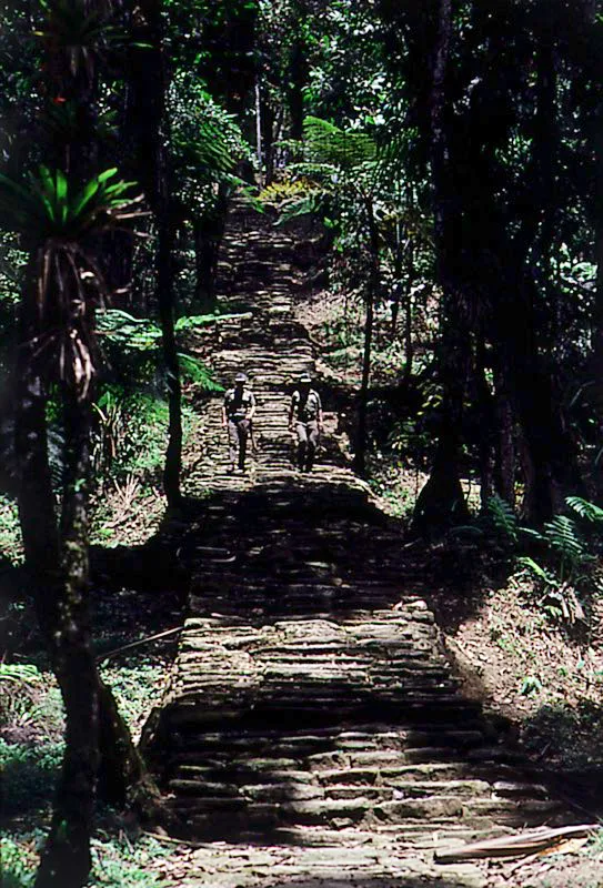 Camino de piedra de Ciudad Perdida. Aparte de su función intercomunicadora, los caminos recogen y canalizan las aguas lluvias de las terrazas, desaguándolas, por medio de pequeños giros, en ciertos lugares de la ladera. Presentan especial elaboración en las bifurcaciones, donde aparecen piedras talladas y grandes lajas, como pasos, debajo de los cuales se depositaban objetos rituales, como ofrendas a dioses protectores. Todo ello dentro de una solución urbanística de gran respeto hacia la naturaleza. Ciudad Perdida, Magdalena. Benjamín Villegas