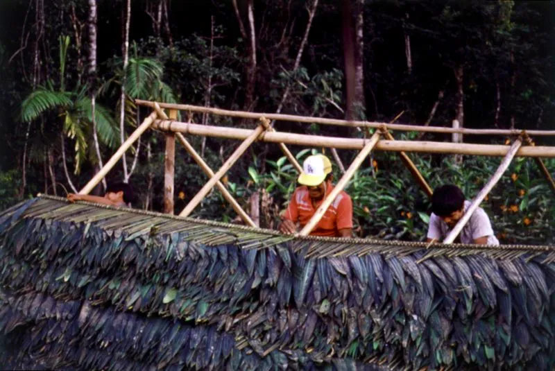 Elaboración tradicional de cubierta para vivienda, aprevechando ramas de la palma amarga, superpuestas y amarradas con bejuco a una estructura de madera. Amazonas Diego Miguel Garcés
