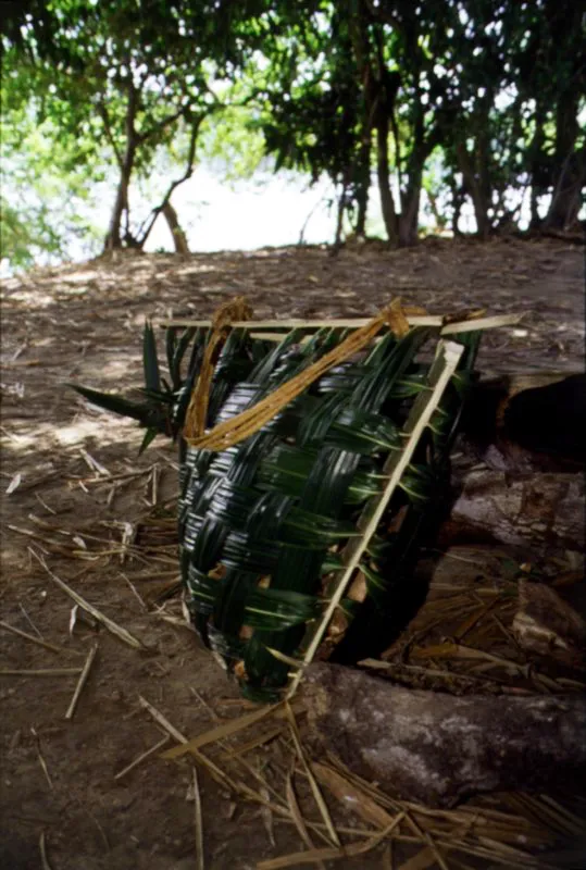 Catarijanos. Empaques indgenas que resultan de trenzar la hoja y la vena de las ramas de las palmas. Son improvisados sobre la marcha, en la selva, para recoger y transportar frutos y alimentos. Los habitantes del Amazonas aprenden desde muy nios a hacer estos empaques con cualquier tipo de fibra del entorno selvtico. Amazonas. Diego Miguel Garcs