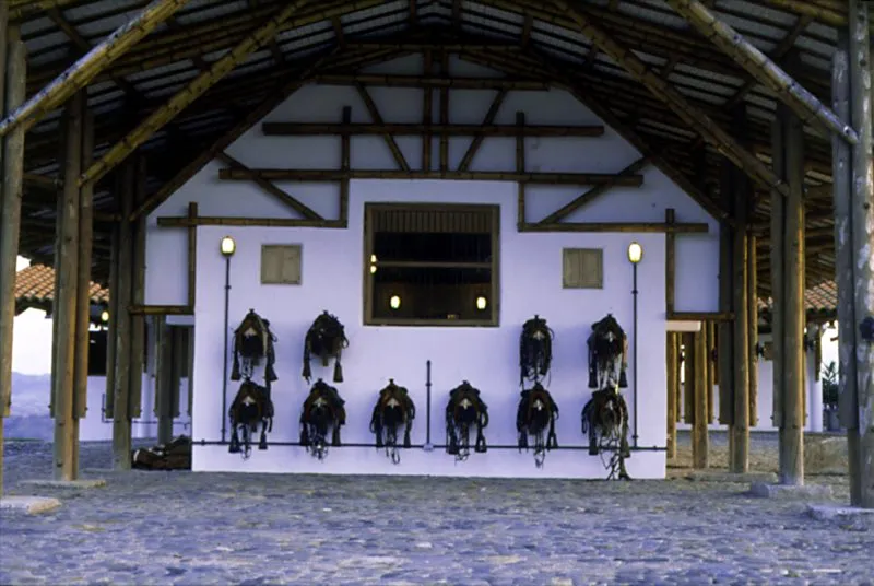 Cobertizo. Sillas de montar en cuero y aperos. Este lugar tambin es utilizado para ensillar los caballos. Caldas. Simn Vlez