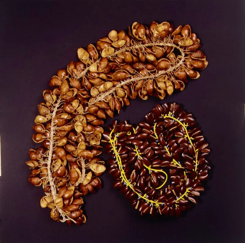 Collares y sonajeros en racimos de semillas, cortadas y unidas con fibras vegetales, retorcidas y anudadas. El danzante las usa en el cuello o en la cintura. Vaups. Jos Fernando Machado