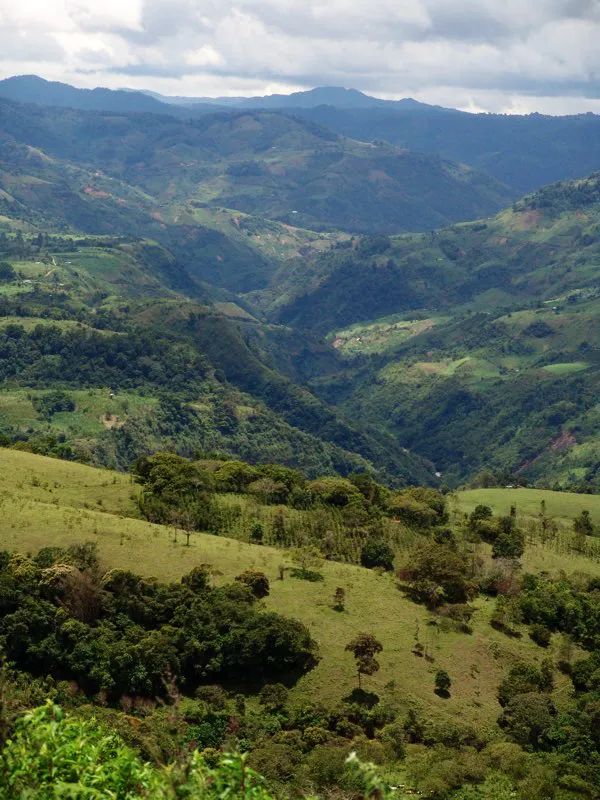 La región del Macizo Colombiano, donde tuvieron su asiento las sociedades que labraron las estatuas, está encerrada entre azulosas montañas cubiertas de bosques. En su gradual descenso hacia el valle del Magdalena, el Macizo va formando estrechas mesetas a modo de escalones, onduladas por colinas y cerros y separadas por escarpados pliegues de la cordillera y por las profundas fosas que sirven de cauce a los ríos. La mayor de tales mesetas alberga al pueblo de San Agustín y su Parque Arqueológico. Generosa en prodigios tectónicos, es una tierra también espléndida en vida natural y como habitación para el ser humano. Su posición en proximidades del Ecuador, las diferencias de altura sobre el nivel del mar de sus valles y mesetas y la abundancia de las lluvias crean condiciones propicias para una vegetación exuberante.