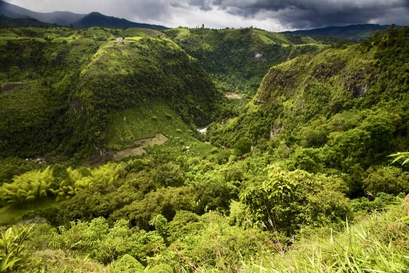 Vista del río Magdalena cerca de San Agustín. El río nace en el páramo de Las Papas, a 3.685 metros sobre el nivel del mar, y al llegar a San Agustín ha reducido su altura a unos 1.600 metros. Al cortar las montañas crea una profunda fosa con paredes cubiertas de matorrales y cultivos, animados por ocasionales guaduales e iluminados por las bellas flores del cachimbo o cámbulo, de rojo o naranja encendido.