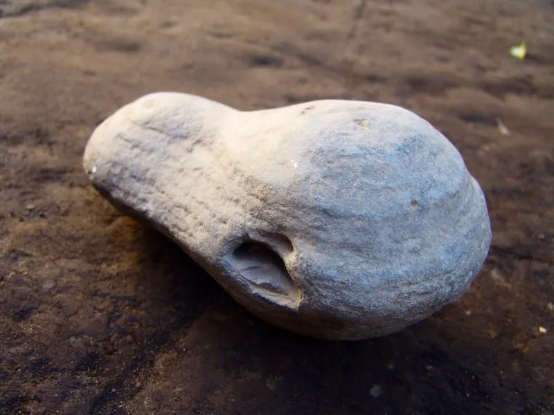 En algunas tumbas del Macizo Colombiano se han hallado acumulaciones de instrumentos que muestran rasgos inequívocos de haber sido utilizados en escultura. En la localidad de El Rosario los habitantes conservan colecciones de piedras que, según tradición, se hallaron en sepulturas de la región y habrían sido empleadas para este fin.