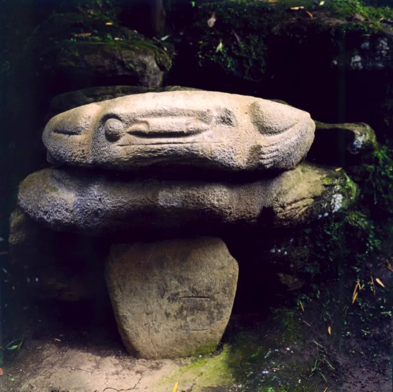 Rana hallada en 1857 por Agustín Codazzi y desaparecida durante casi un siglo, en la pendiente que conduce de las Mesitas del Parque Arqueológico de San Agustín a la Fuente de Lavapatas. Con grandes ojos redondos y ancha nariz, son aún perceptibles dos pares de colmillos que emergen de su boca. Tanto la nariz como la boca y los colmillos son obviamente extraños a las ranas o los sapos, y más bien pertenecen a los monos.