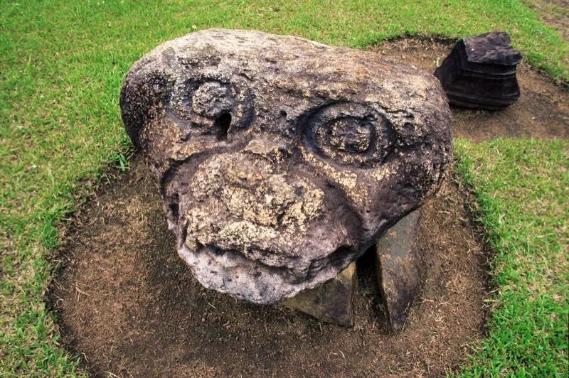 Los desana del noroeste amazónico han observado la similitud entre el cerebro del mono y el del hombre y al cazar al animal para alimentarse de su carne jamás permiten que su cabeza entre a la maloca. Por ello el cazador les corta la cabeza, además de destruirles ciertos órganos como el corazón. En esta página, cabeza de mono hallada en el Alto de Lavapatas, excepcional por tener los ojos abiertos.