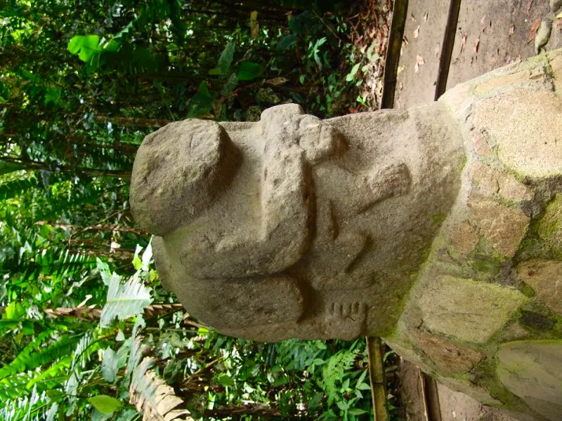 Esta estatua, situada originalmente en Uyumbe, es el ejemplo más palmario de la dificultad de definir qué representan las esculturas del Macizo Colombiano. Agustín Codazzi, Carlos Cuervo Márquez y Konrad Preuss la describieron como un mono, un anónimo contemporáneo de Codazzi, así como el español José María Gutiérrez de Alba y Gerardo Reichel-Dolmatoff pensaron que se trataba de un tigre o jaguar. En cuanto al ser que se encuentra bajo este, Codazzi lo vio como una cría de mono acariciada por el mico, pero Preuss imaginó que la figura más pequeña era un niño, por tener más rasgos humanos que de animal. Cuervo Márquez consideró que era una hembra de mono y que la escena representaba la cópula. Esto último fue un avance en la interpretación, pero aún quedaba por resolverse la mayoría de los interrogantes.