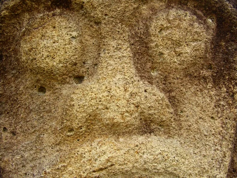 La nariz es el rasgo clave para entender el sentido oculto de las estatuas que representan seres humanos en el arte del Macizo Colombiano. No obstante sus innumerables variaciones, ilustradas en estas fotos, todas las narices pertenecen al mismo tipo básico de forma ancha, aplanada y con el tabique nasal extraordinariamente grueso. Esta caracterización pertenece a la nariz del mono americano, llamado platirrino para distinguirlo del mono del mundo antiguo, o catarrino. El único rasgo realmente humano en las narices de la estatuaria es la orientación hacia abajo de las fosas nasales. Las líneas que unen las alas de la nariz con las comisuras labiales acentúan el aspecto simiesco, y el conjunto lleva a una inevitable conclusión: en la estatuaria los seres humanos son como los monos y los monos son como los seres humanos.