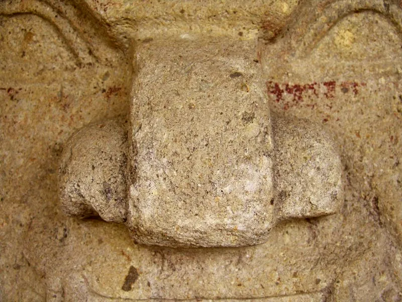 Nariz en el arte del Macizo Colombiano.