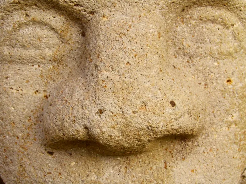 Nariz en el arte del Macizo Colombiano.