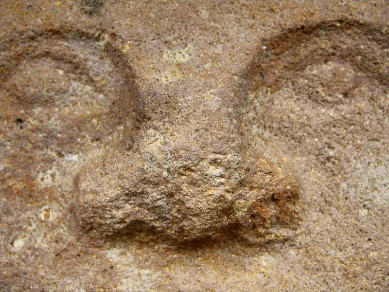 Nariz en el arte del Macizo Colombiano.