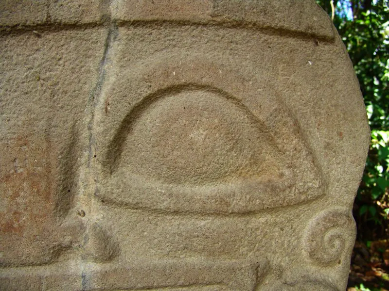 Muestra de la extraordinaria diversidad de formas y diseños de los ojos de la estatuaria.
