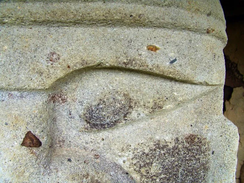 Muestra de la extraordinaria diversidad de formas y diseños de los ojos de la estatuaria.