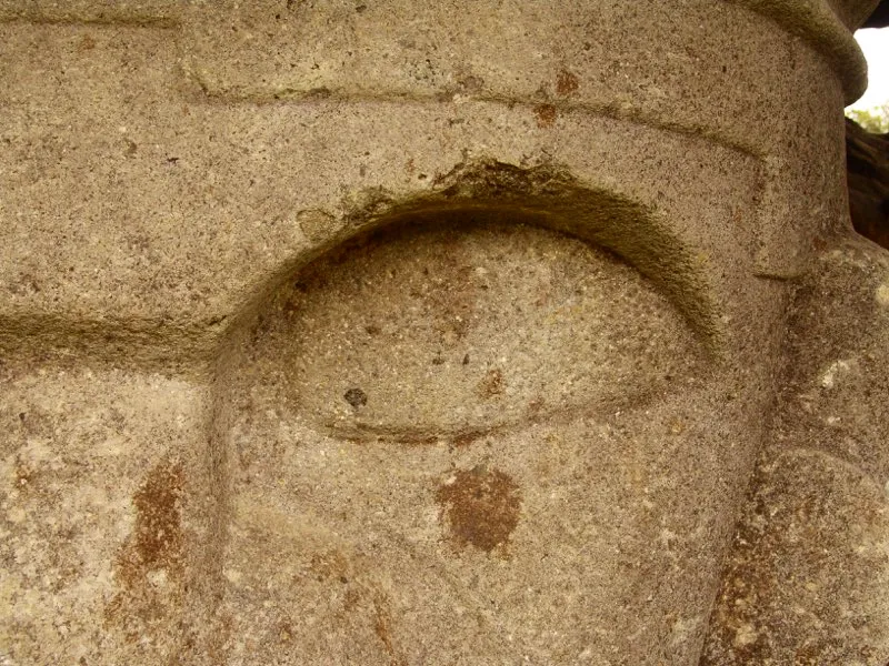 Muestra de la extraordinaria diversidad de formas y diseños de los ojos de la estatuaria.