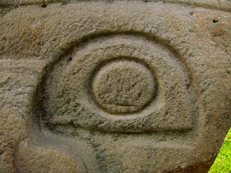 Muestra de la extraordinaria diversidad de formas y diseños de los ojos de la estatuaria.