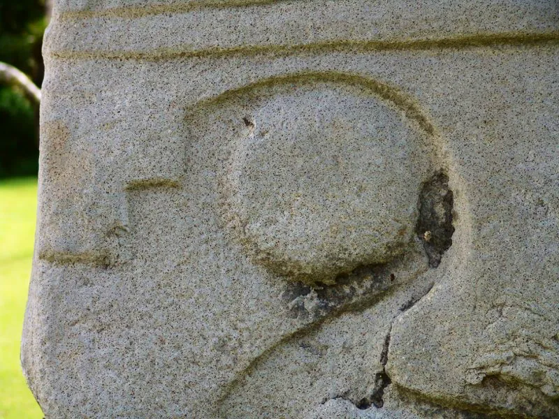 Muestra de la extraordinaria diversidad de formas y diseños de los ojos de la estatuaria.