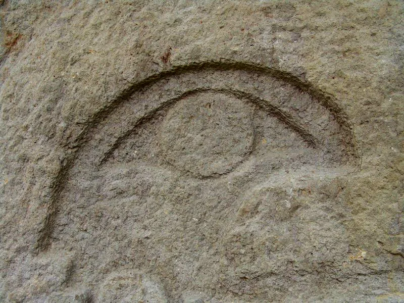 Muestra de la extraordinaria diversidad de formas y diseños de los ojos de la estatuaria.